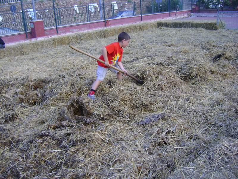 Preparazione campo (20).JPG